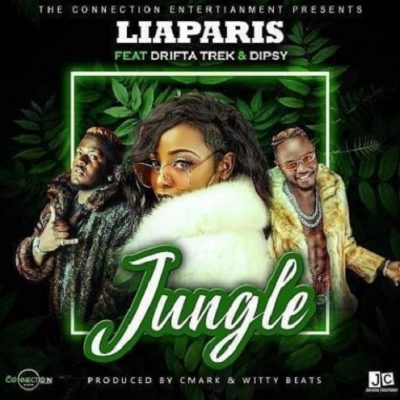 Liaparis ft drifta Trek and Dipsy Zam - Jungle