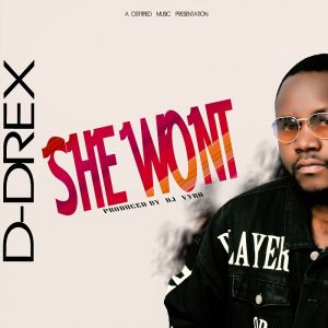 D-Drex - She wont(Prod. By Dj Vyr0)