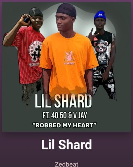 Iil shard ft 4050 X V-Jay - Robe my heart